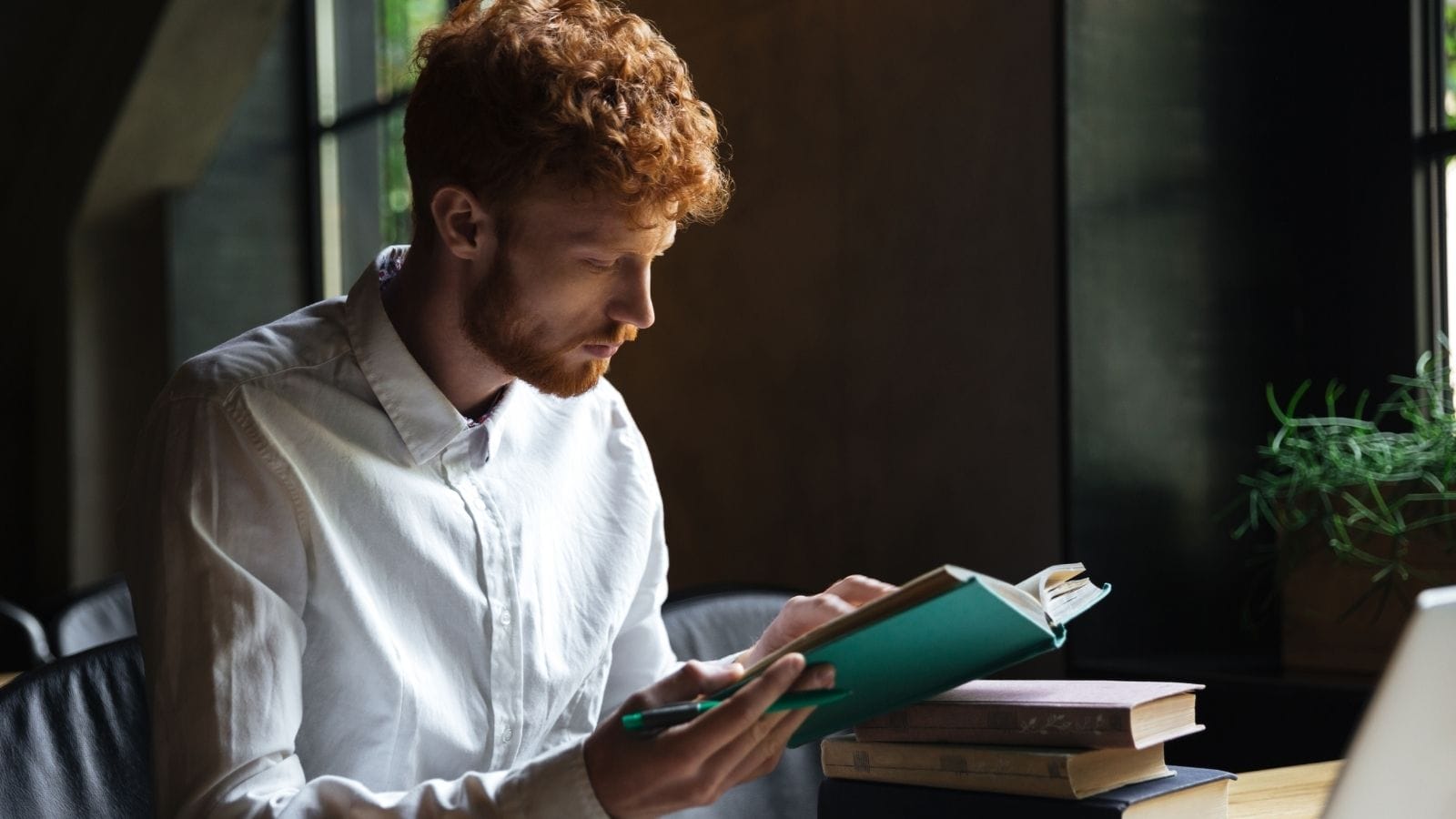 Best books for aspiring entrepreneurs: Top Reads for Success