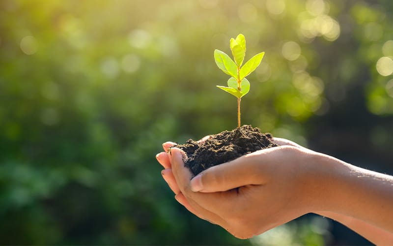 Best Books for Weed Entrepreneurs