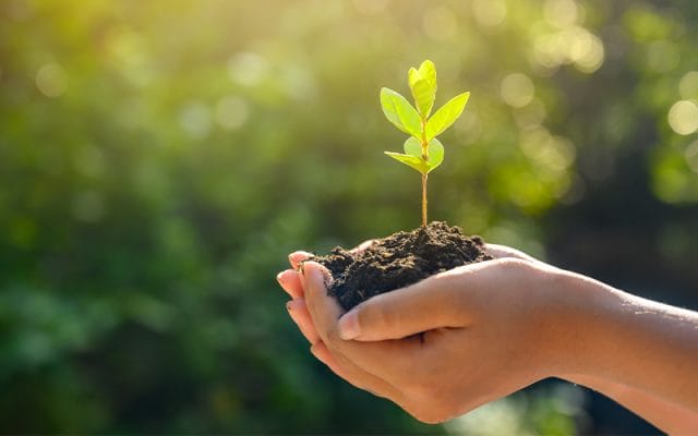 Best Books for Weed Entrepreneurs