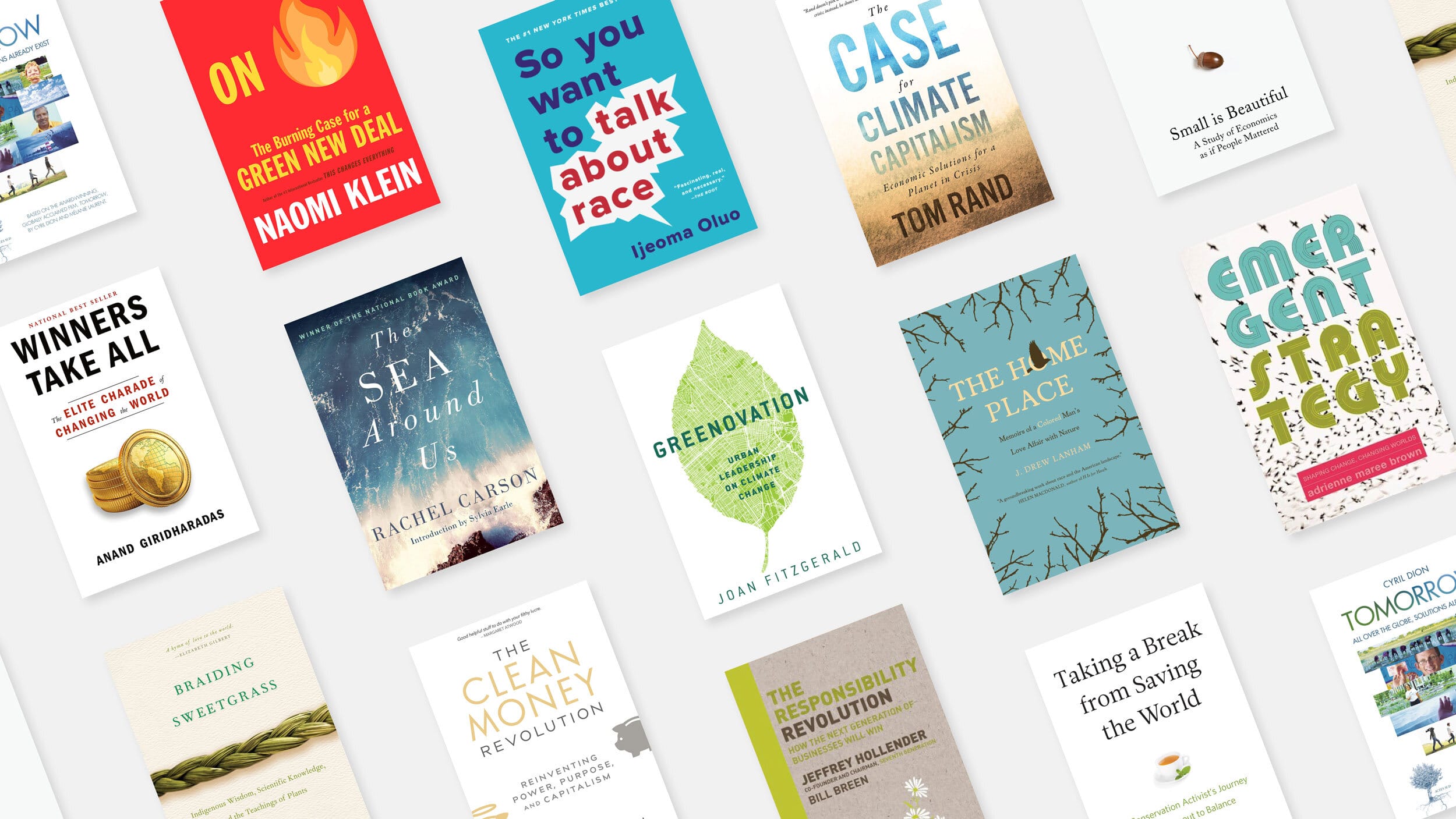 Best Books for Sustainability Entrepreneurs