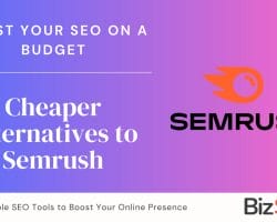 The image features text promoting affordable SEO tools for 2024 with the headline "Boost Your SEO on a Budget" and the BizStack logo, set against a gradient purple and pink background.