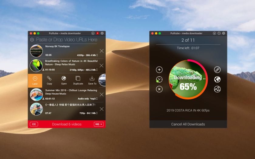 Screenshot of Pulltube Interface