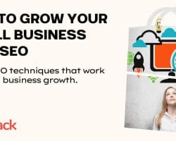 A promotional image for BizStack titled "How to Grow Your Small Business with SEO in 2024," featuring a woman looking up at a laptop screen displaying SEO icons. It emphasizes learning effective SEO techniques.